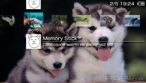  'Animals [RUS]'   PTF  PSP